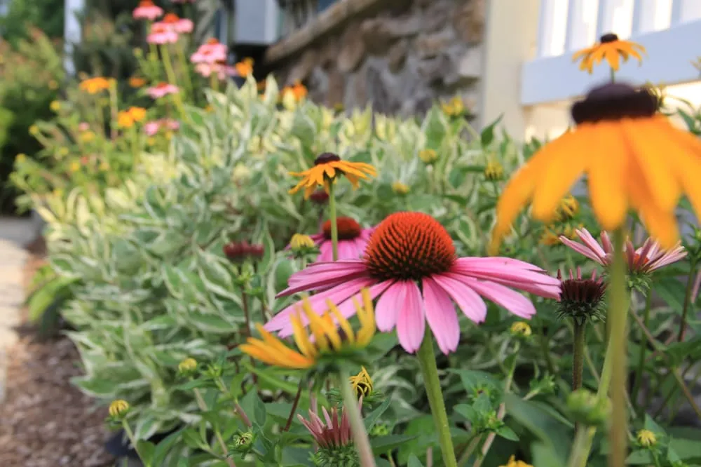 Affordable landscape design experts serving Morristown, NJ - Outdoor Digs