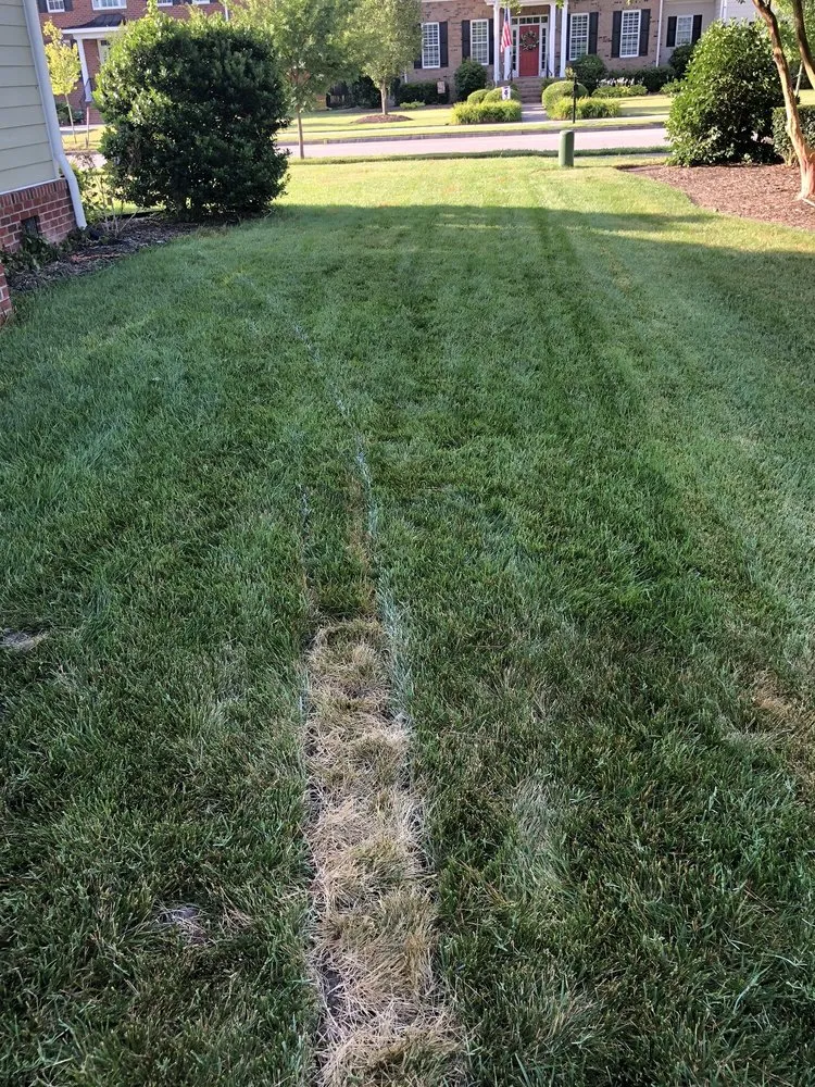 Top-rated lawn care service for residential properties in Chesapeake, VA by Outdoor Drainage Solutions
