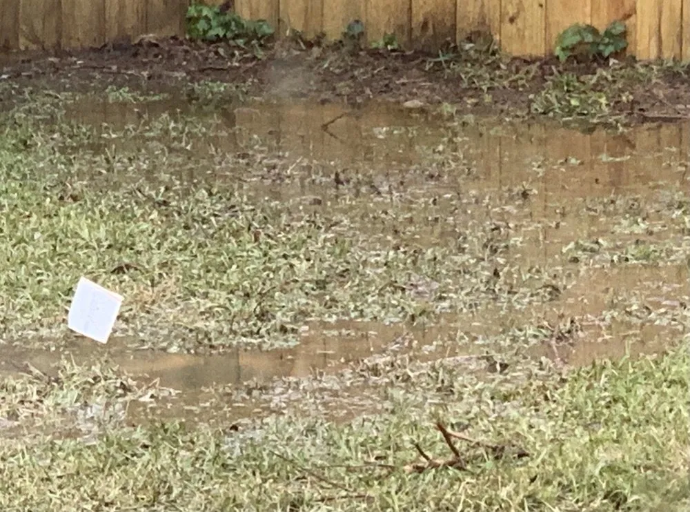 Top-rated lawn care service for beautiful yards across Chesapeake, VA - Outdoor Drainage Solutions