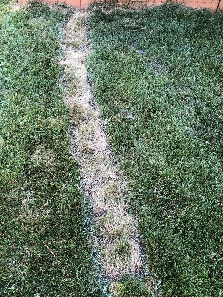 Custom landscape installation for beautiful yards in Chesapeake, VA by Outdoor Drainage Solutions