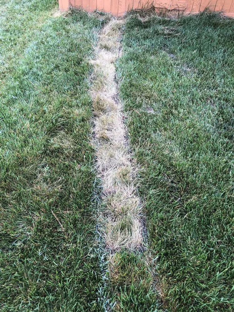 Professional lawn mowing service in Chesapeake, VA - Outdoor Drainage Solutions