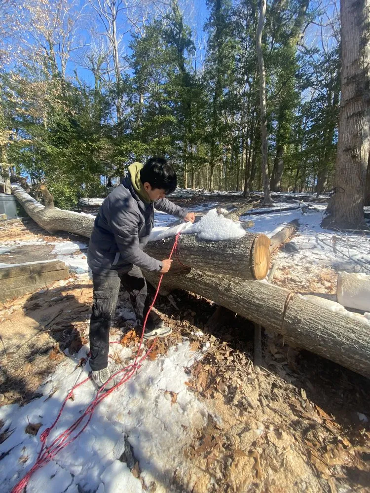 Expert landscape installation for residential properties across Moyock, NC - Outdoor Elegance