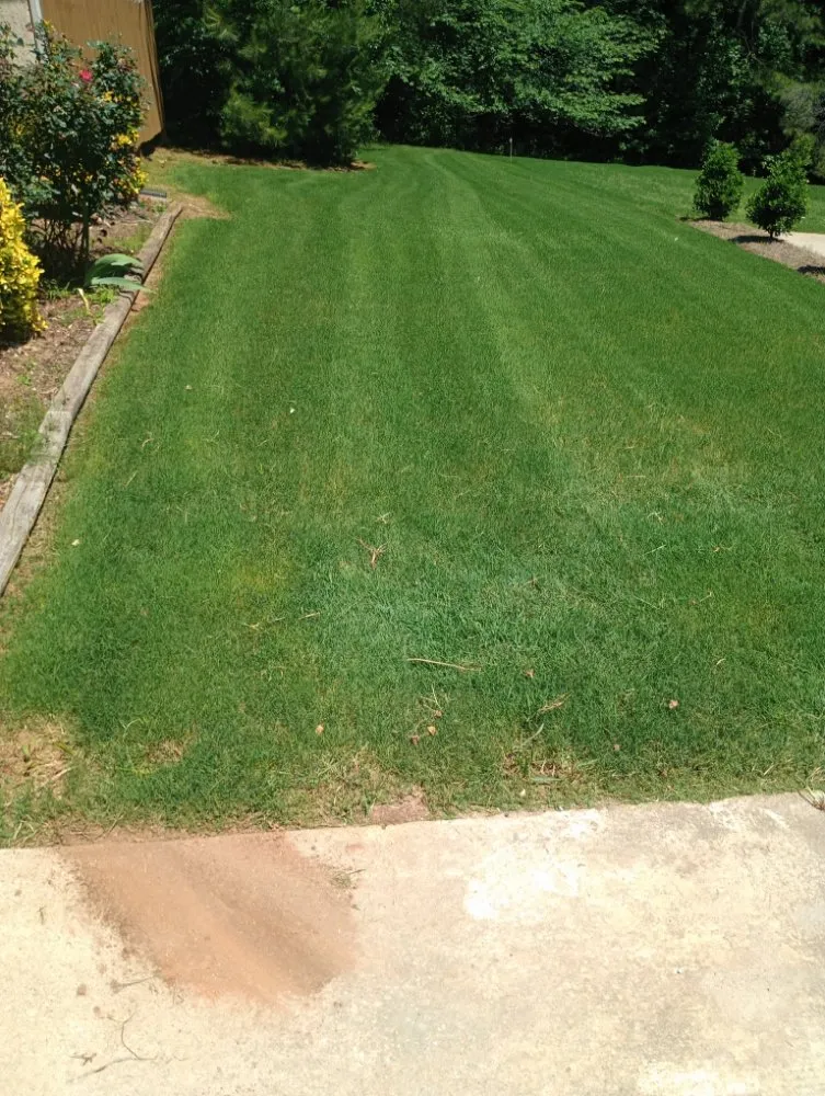 Professional yard maintenance for homes in Fayetteville, GA by Outdoor Enhancement Consulting