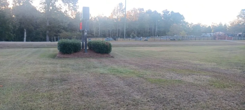 Trusted garden landscaping near you in Fayetteville, GA by Outdoor Enhancement Consulting