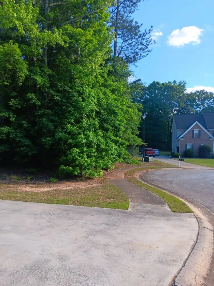 Affordable landscape design in Fayetteville, GA by Outdoor Enhancement Consulting