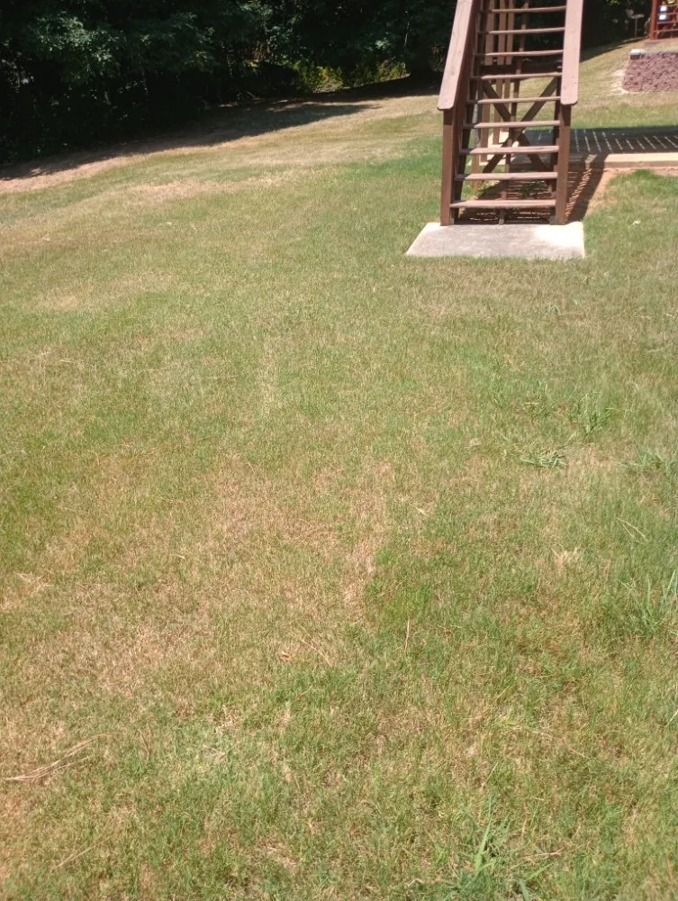 Expert landscape design in Fayetteville, GA - Outdoor Enhancement Consulting