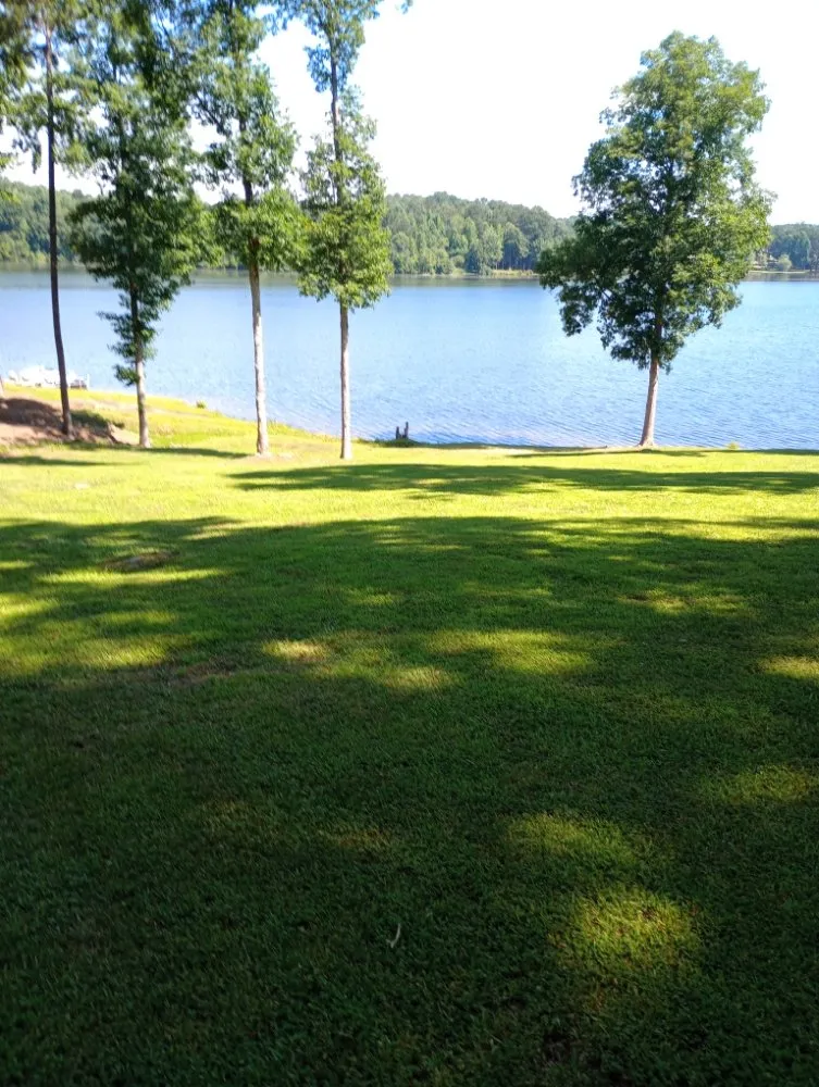 Expert lawn care service for homes across Fayetteville, GA - Outdoor Enhancement Consulting