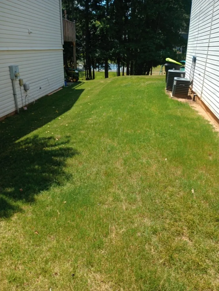 Local yard cleanup service in Fayetteville, GA by Outdoor Enhancement Consulting