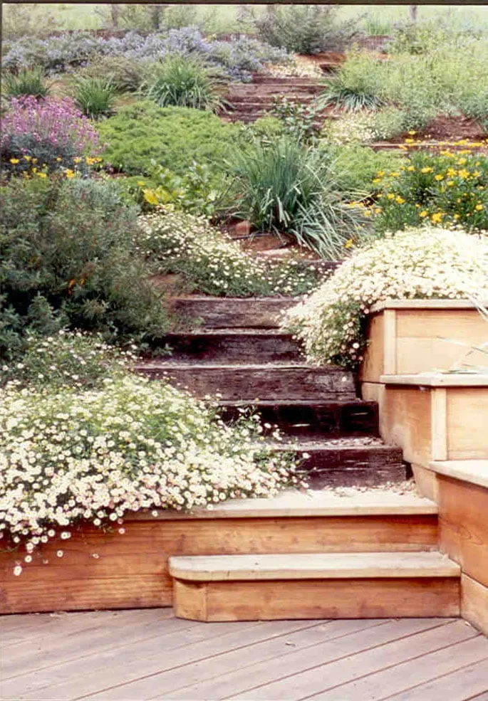 Trusted outdoor landscaping experts serving Mill Valley, CA - Outdoor Environments