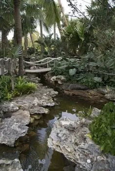 Local lawn care service experts serving Monterey, CA - Outdoor Environments Unlimited