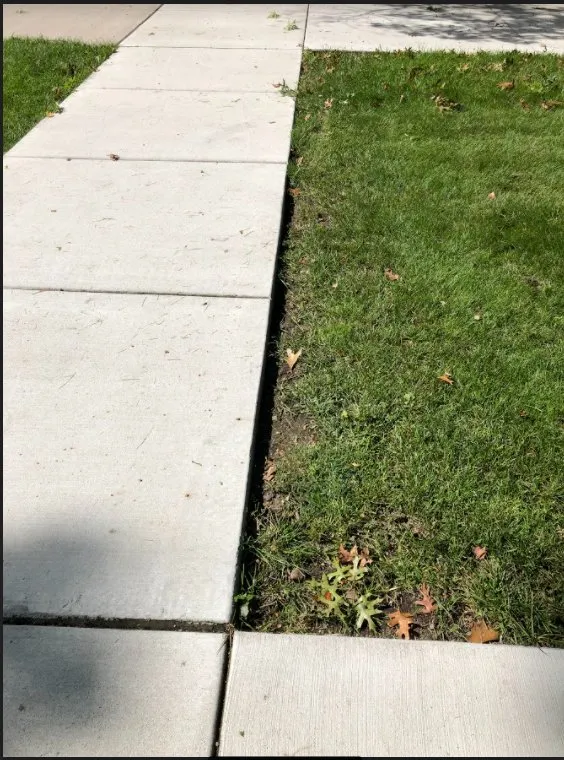 Expert yard cleanup service in Mishawaka, IN by Outdoor Excellence