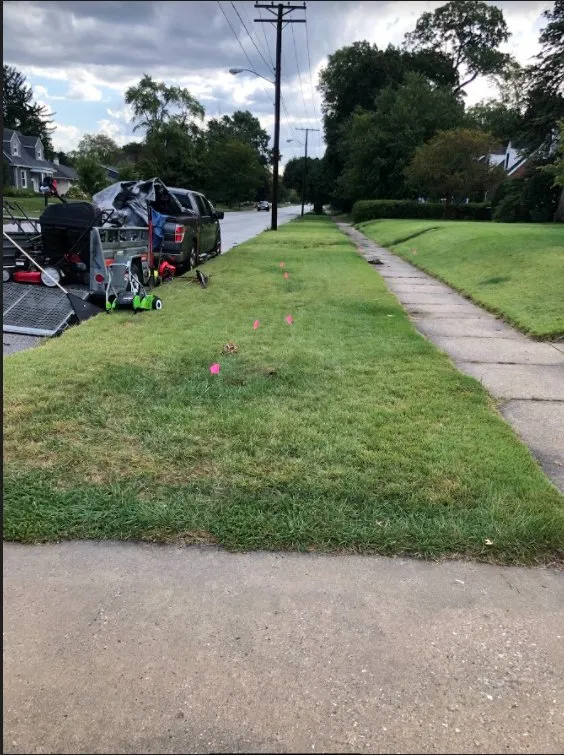 Expert yard cleanup service for year-round maintenance in Mishawaka, IN by Outdoor Excellence