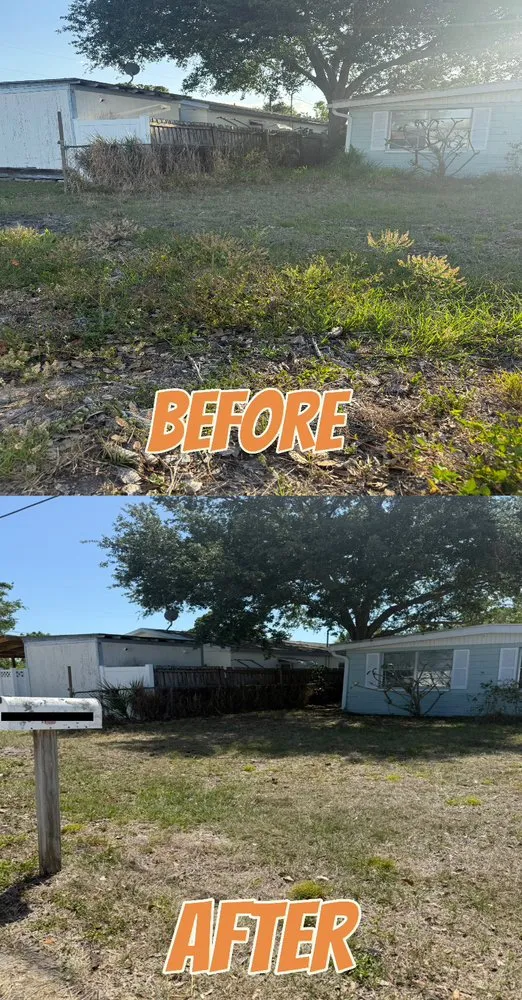 Top-rated lawn care service experts serving St. Petersburg, FL - Outdoor Excellence