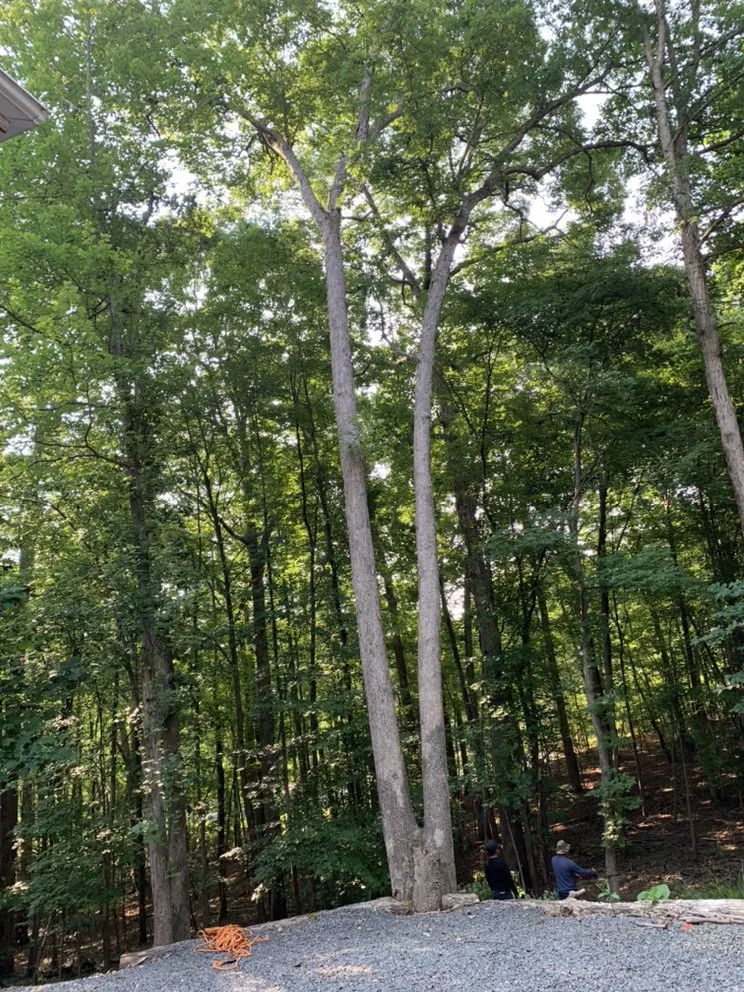 Reliable lawn care service experts serving Rixeyville, VA - Outdoor Express