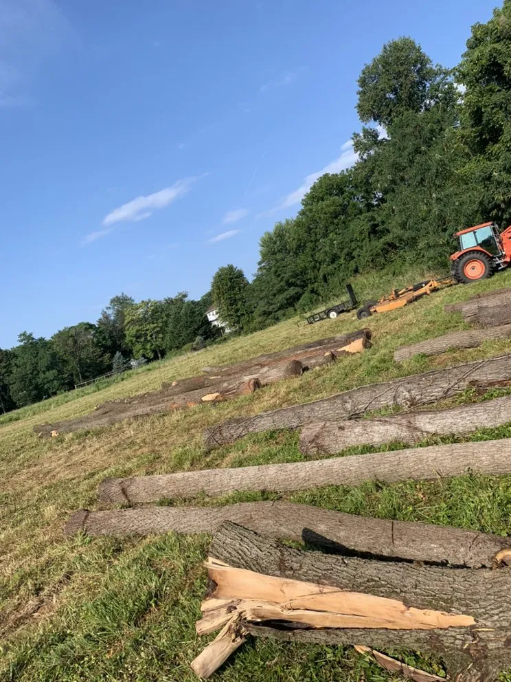 Expert residential landscaping in Rixeyville, VA by Outdoor Express