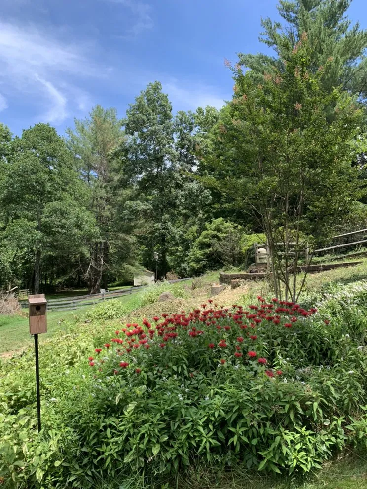 Expert lawn mowing service experts serving Rixeyville, VA - Outdoor Express