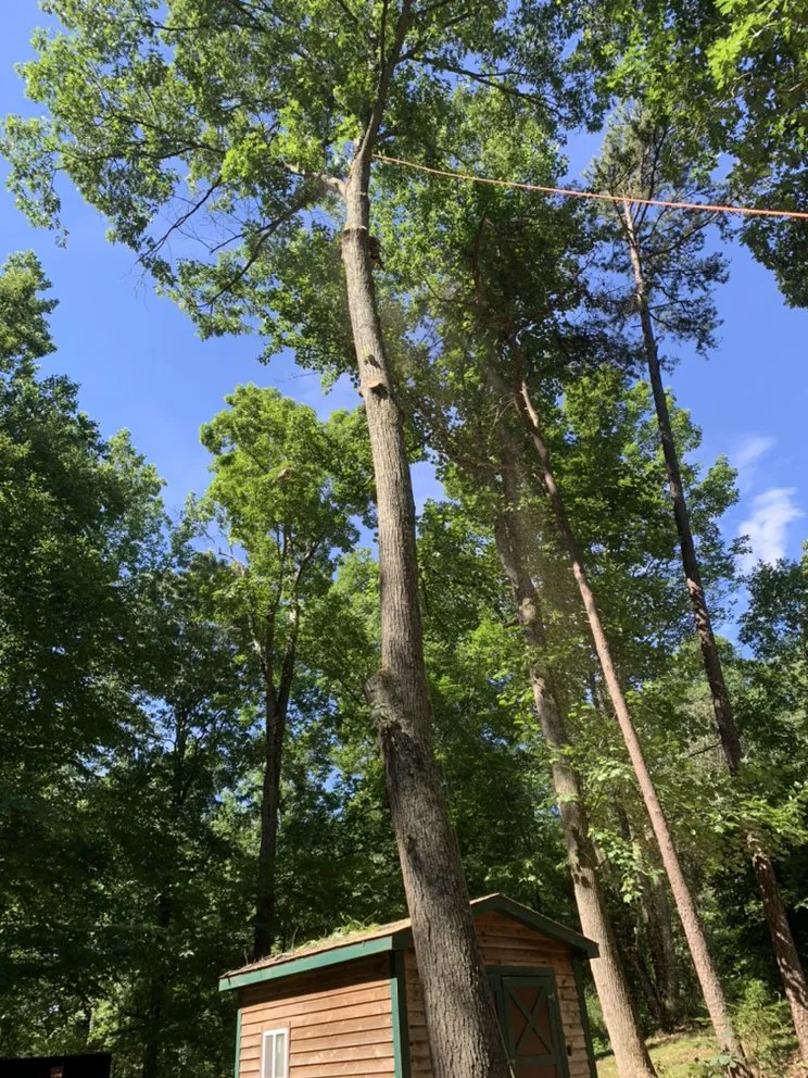 Reliable garden landscaping in Rixeyville, VA by Outdoor Express