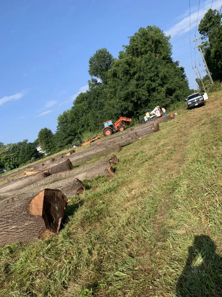 Expert landscape design in Rixeyville, VA - Outdoor Express