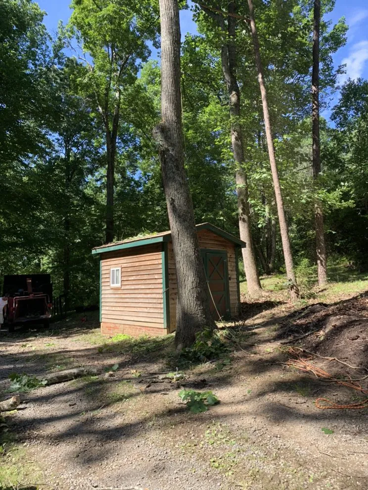 Local yard maintenance experts serving Rixeyville, VA - Outdoor Express