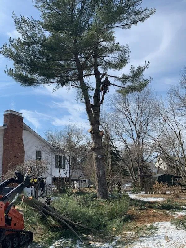 Trusted garden landscaping in Rixeyville, VA - Outdoor Express