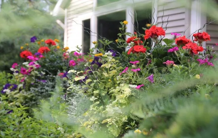 Top-rated landscape design experts serving Neenah, WI - Outdoor Expressions Property Maintenance