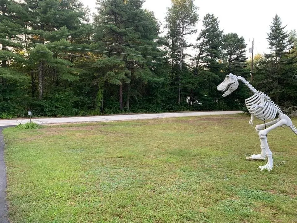 Affordable landscape installation for year-round maintenance across Lynn, MA - Outdoor Greatness Landscaping And Tree Services