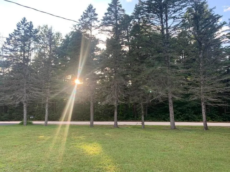 Professional landscaping services in Lynn, MA by Outdoor Greatness Landscaping And Tree Services