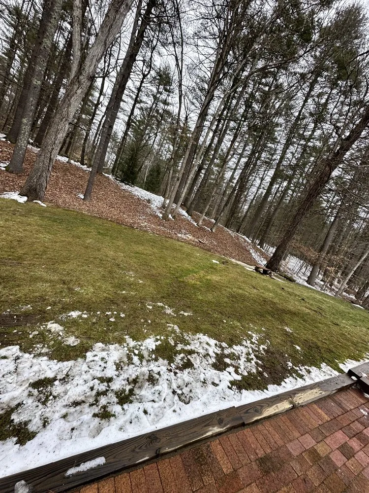 Professional landscape installation in Lynn, MA - Outdoor Greatness Landscaping And Tree Services