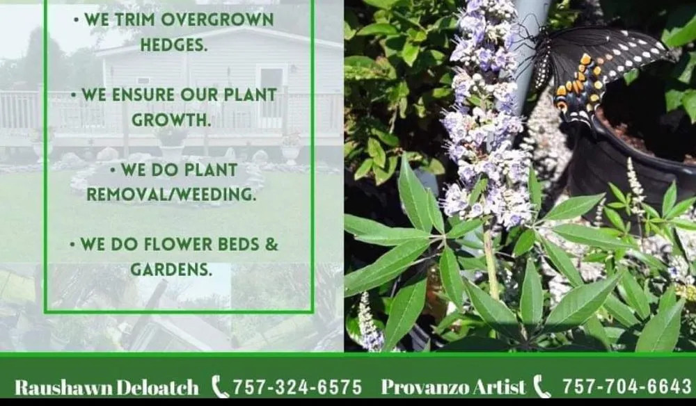 Trusted landscape design for beautiful yards across Suffolk, VA - Outdoor Home Beautification