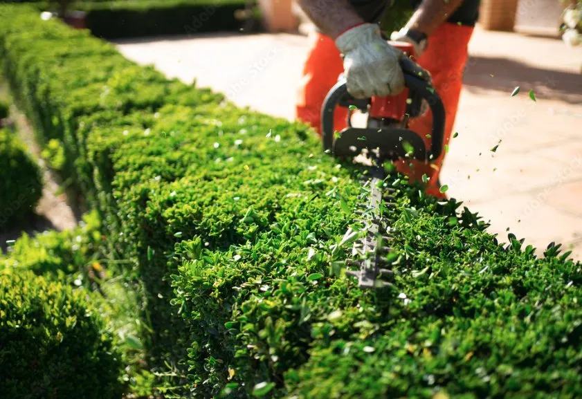 Local landscape design in Suffolk, VA - Outdoor Home Beautification