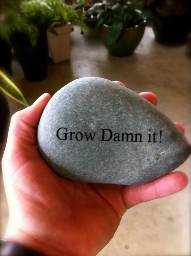 Affordable residential landscaping for year-round maintenance in Mesquite, TX by Outdoor Home Living