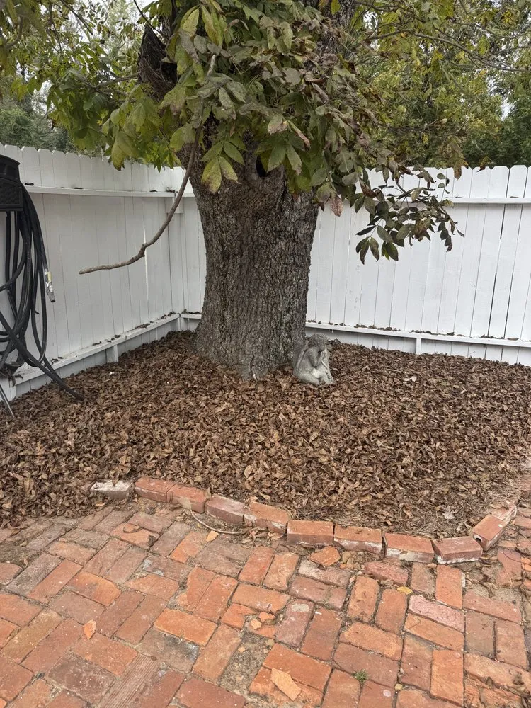 Reliable lawn care service for year-round maintenance across Macon, GA - Outdoor Home Services