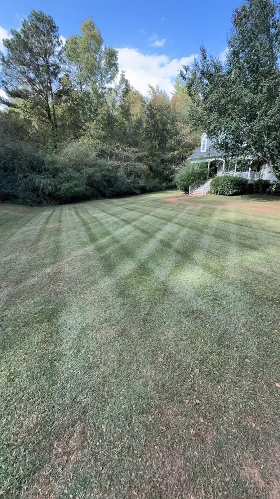Professional yard cleanup service in Macon, GA - Outdoor Home Services