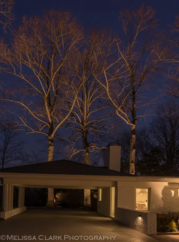 Reliable yard maintenance in Bethesda, MD by Outdoor Illumination