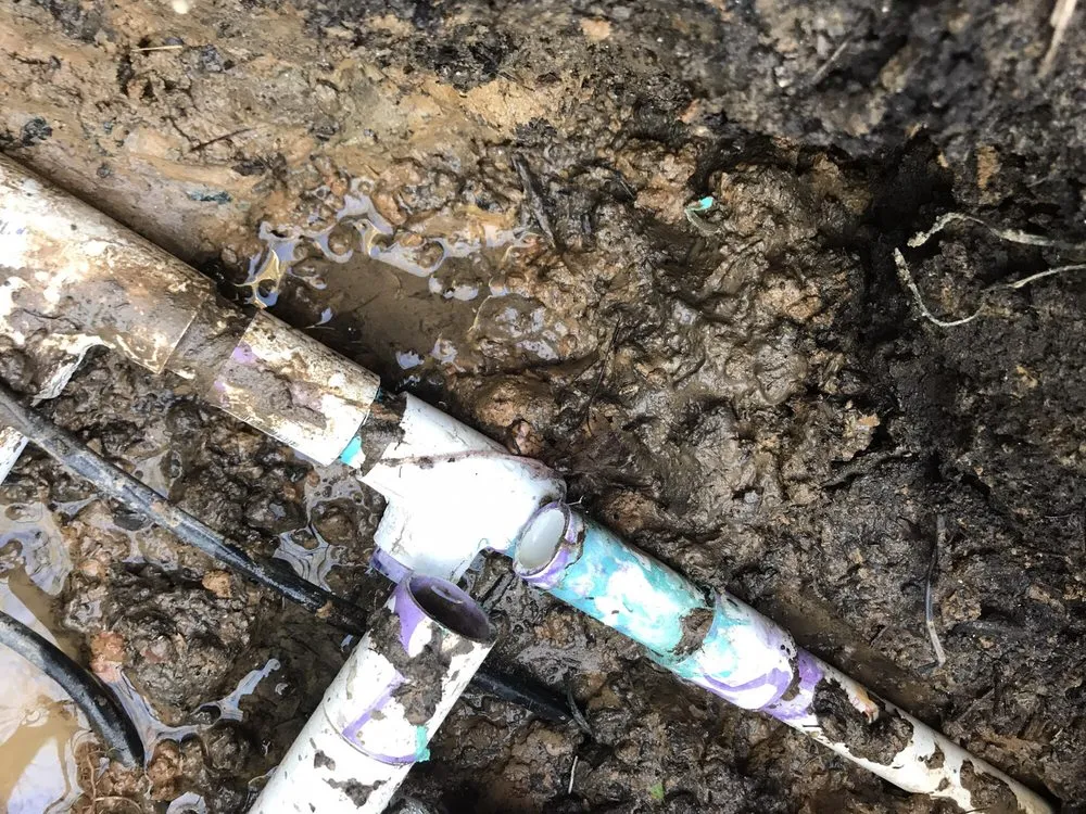 Custom yard cleanup service in Bethesda, MD - Outdoor Illumination