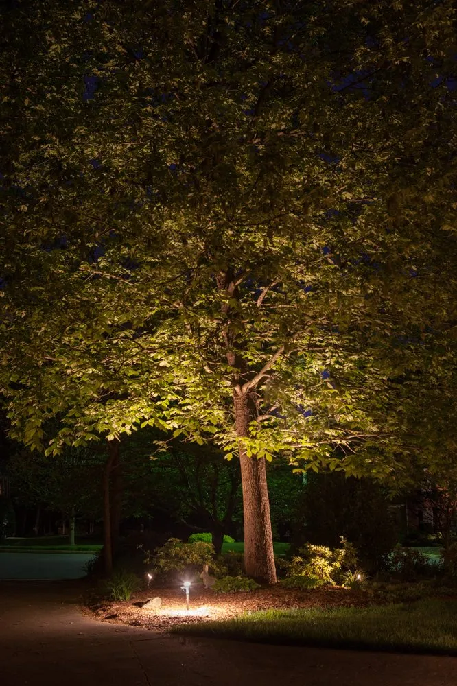 Expert lawn care service in Moore, SC by Outdoor Illumination