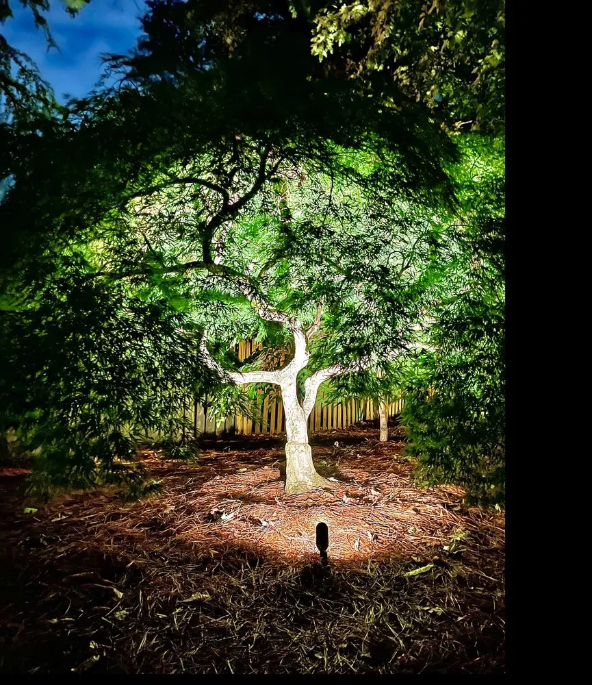 Expert lawn care service in Acworth, GA by Outdoor Illuminations