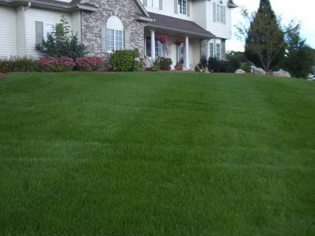Trusted landscaping services for outdoor upgrades in Roseville, CA by Outdoor Image Lawncare