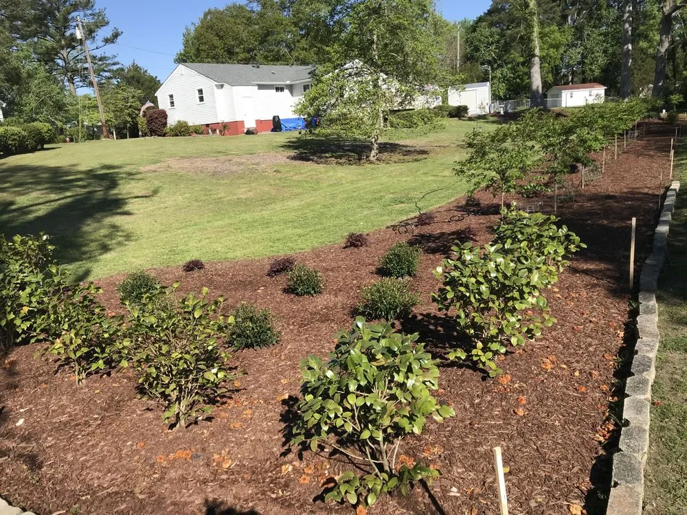 Top-rated outdoor landscaping in Jacksonville, NC - Outdoor Images Landscaping