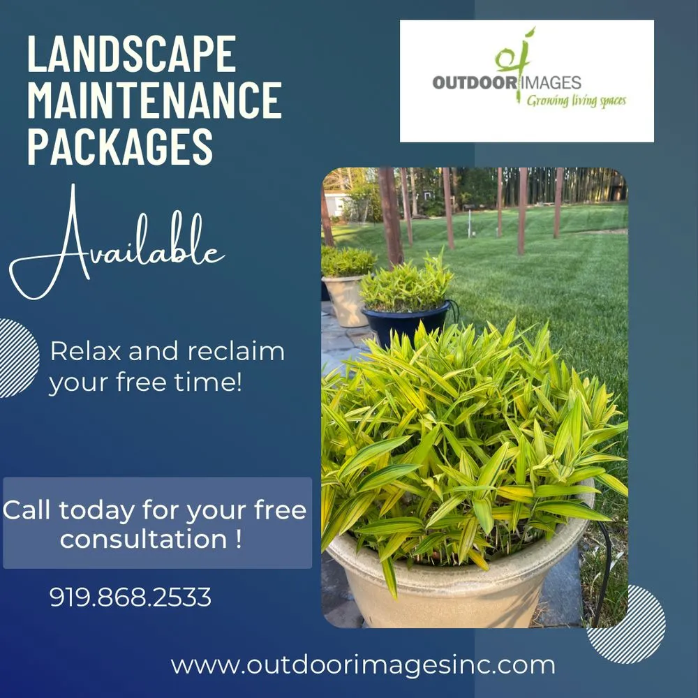 Local landscape design for homes across Raleigh, NC - Outdoor Images