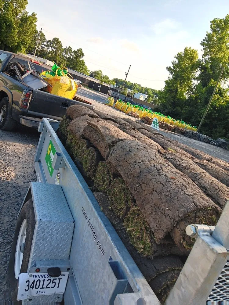 Local residential landscaping for homes across Mount Pleasant, SC - Outdoor Impressions Lawn and Tree Service