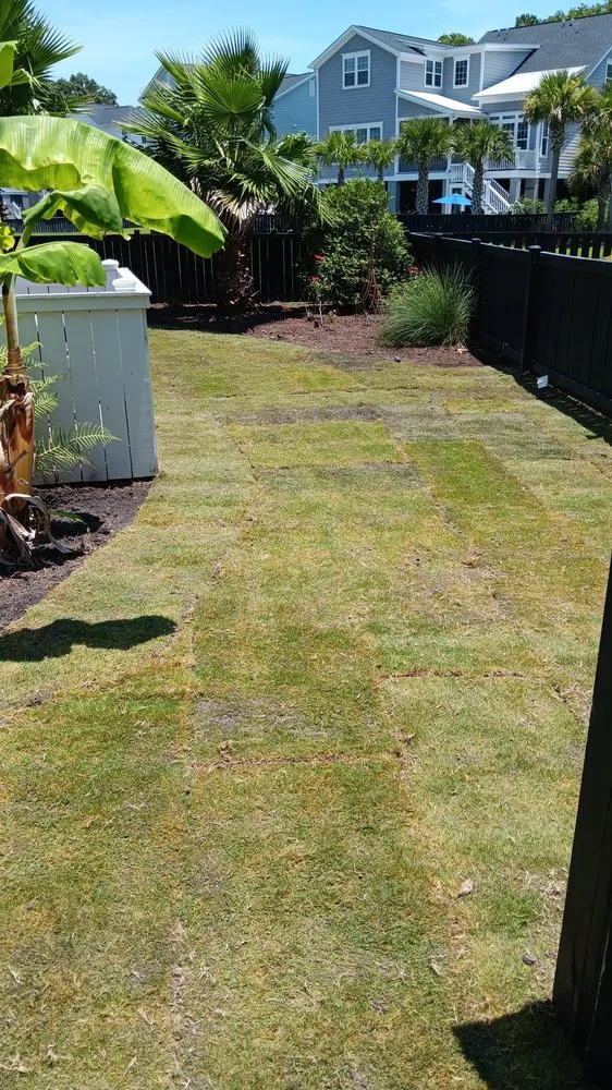 Custom lawn care service for year-round maintenance in Mount Pleasant, SC by Outdoor Impressions Lawn and Tree Service