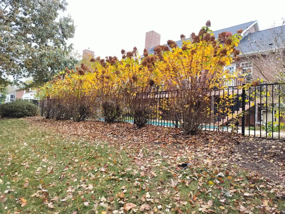 Top-rated landscaping services with custom design across Simpsonville, SC - Outdoor Improvements By Design