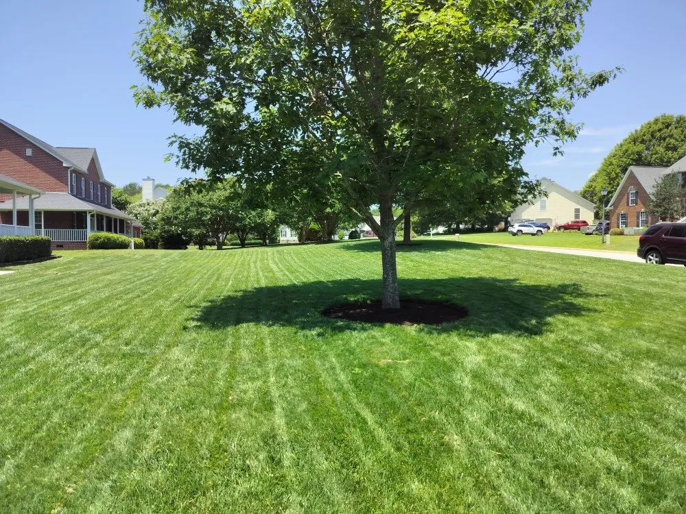 Local lawn care service for residential properties across Simpsonville, SC - Outdoor Improvements By Design