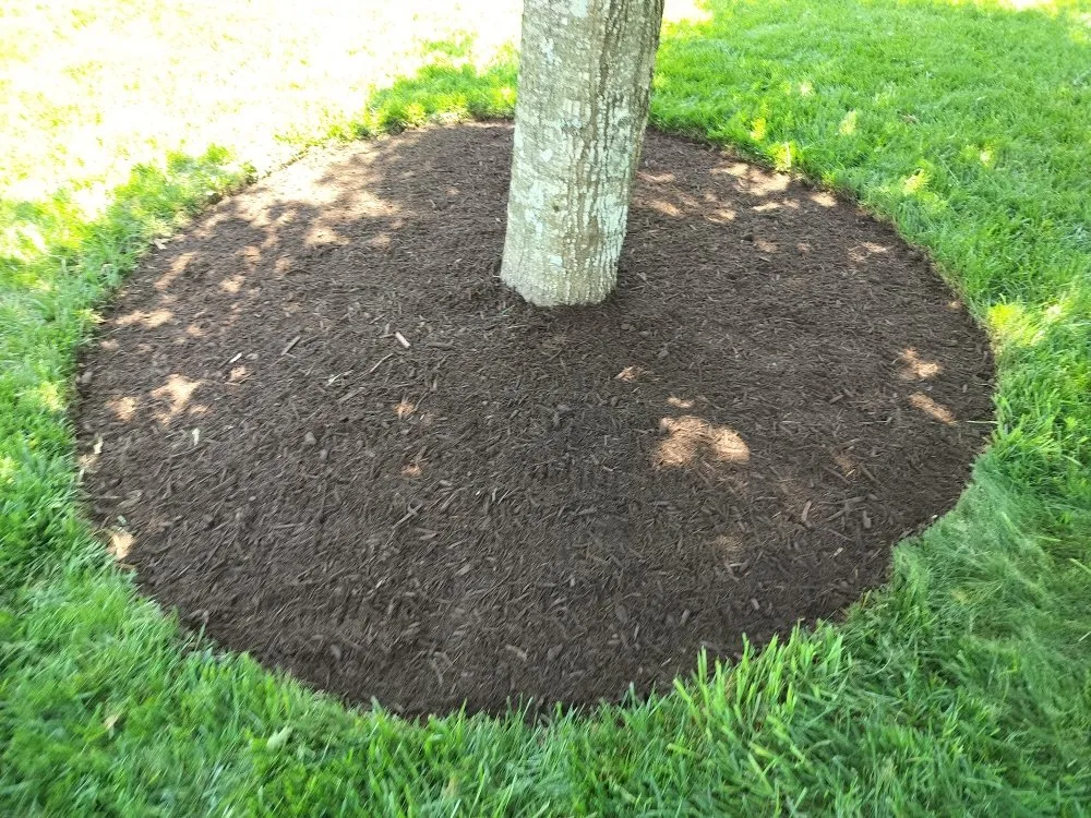 Professional landscaping services experts serving Simpsonville, SC - Outdoor Improvements By Design