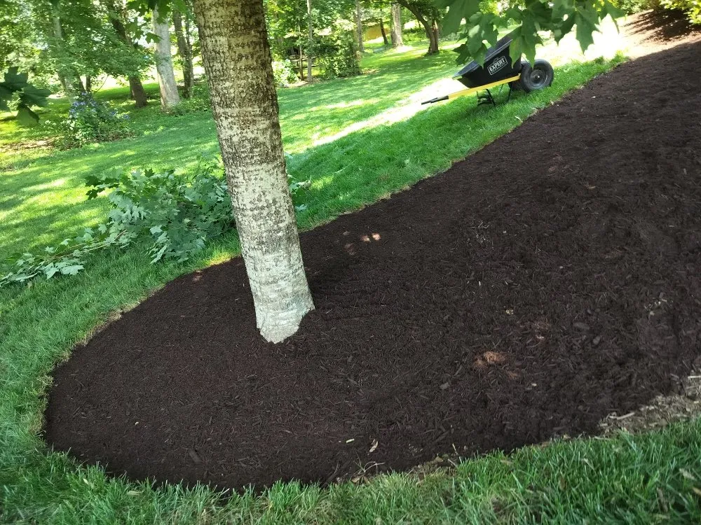 Reliable yard cleanup service near you across Simpsonville, SC - Outdoor Improvements By Design