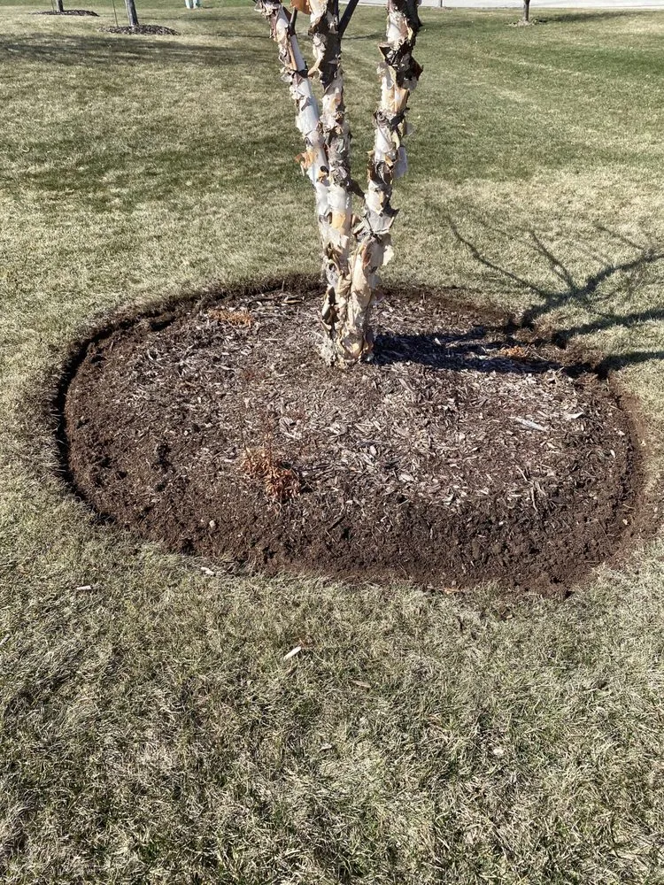 Affordable yard maintenance in Neenah, WI - Outdoor Independence