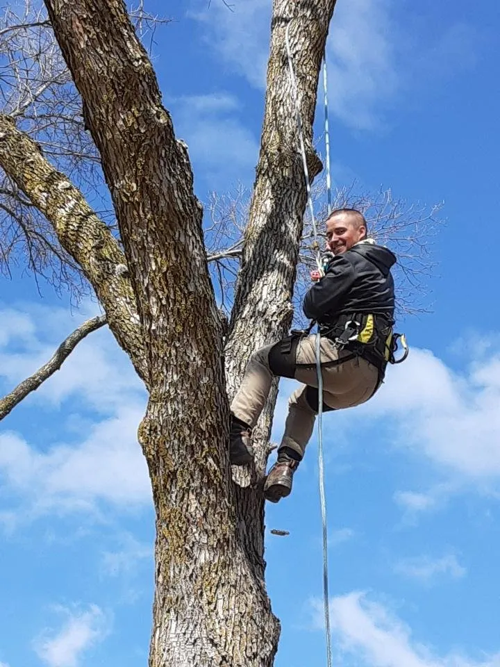 Expert outdoor landscaping in Neenah, WI by Outdoor Independence