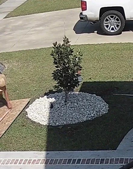 Affordable residential landscaping in Conway, SC by Outdoor Kreations