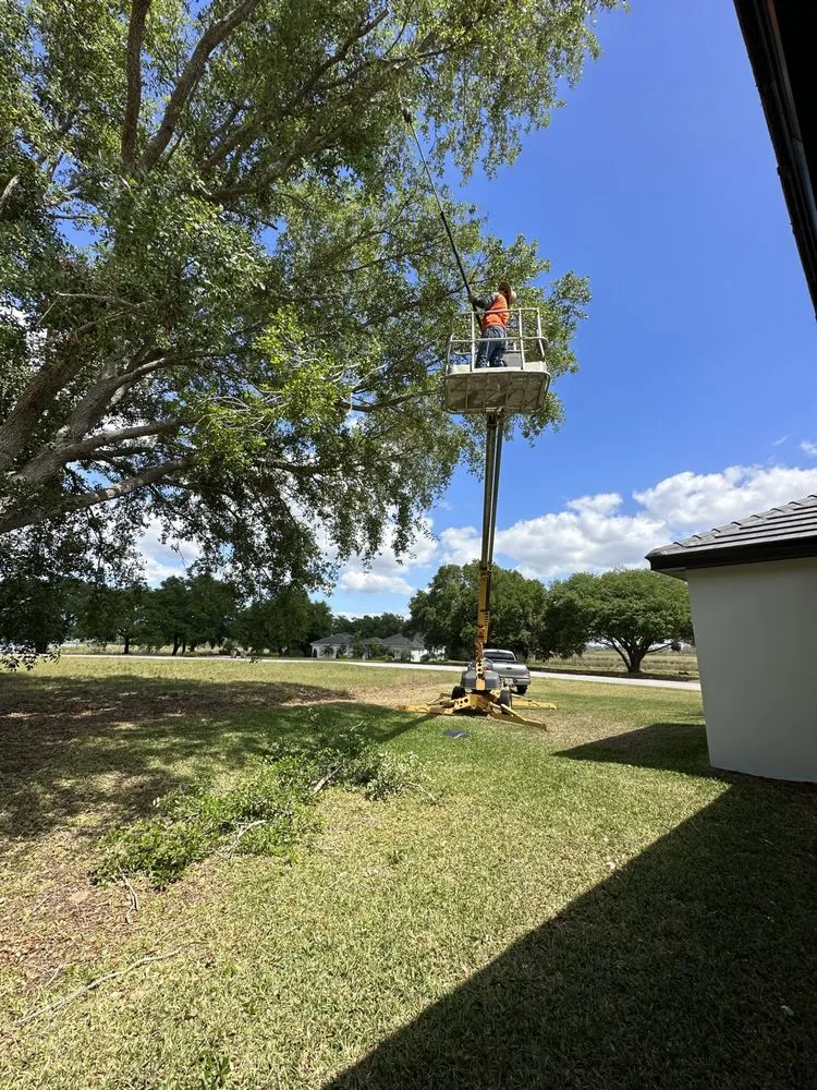 Affordable lawn care service experts serving Mascotte, FL - Outdoor Lawn & Landscape